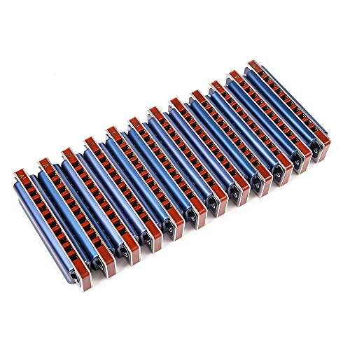 Harmonica diatonique 20 tons bleu : le set complet sans limites