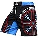 Produktbild Hardcore Training Norman Viking Fight Shorts Kurze Hose Herren MMA BJJ Grappling Fitness Boxen Muay Thai No Gi Kampfsport Kickboxing