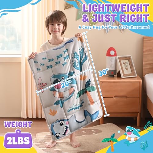 anfie Weighted Lap Pad 2 Pounds, Weighted Blanket Kids(20"*30") Cooling Blanket for Sleeping,Weighted Throw Blanket for Travel Indoor Outdoor(White Shark)