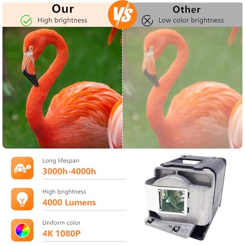 Supermait BL-FU310A FX.PM584-2401 Ersatz Projektorlampe Beamerlampe Birne mit Gehäuse Kompatibel mit Optoma EH501 / W501 / HD151X / HD36 BLFU310A FXPM5842401 BL FU310A PM584-2401 PM5842401 (MEHRWEG)