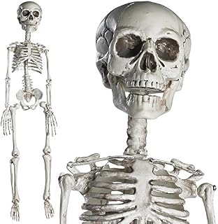 Prextex Halloween Skeleton - Full Life Size Body Halloween Skeleton with Movable Joints for Halloween Decorations Outdoor Indoor, Accessory Decor for Garden House Patio - 76cm