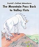 chiller industriali  Crystal’s Gallant Adventures, The Mountain Pass Back to Valley Flats (English Edition)