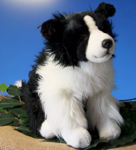 Border Collie 12"