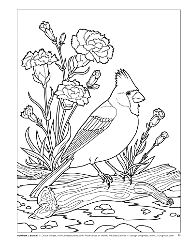 Birds at Home Coloring Book, Revised Edition: Discover Interesting Facts About Cardinals, Robins, Bluebirds, and 30 More of Your Favorite Birds from USA and Canada (Design Originals) Perforated Pages - Image 6