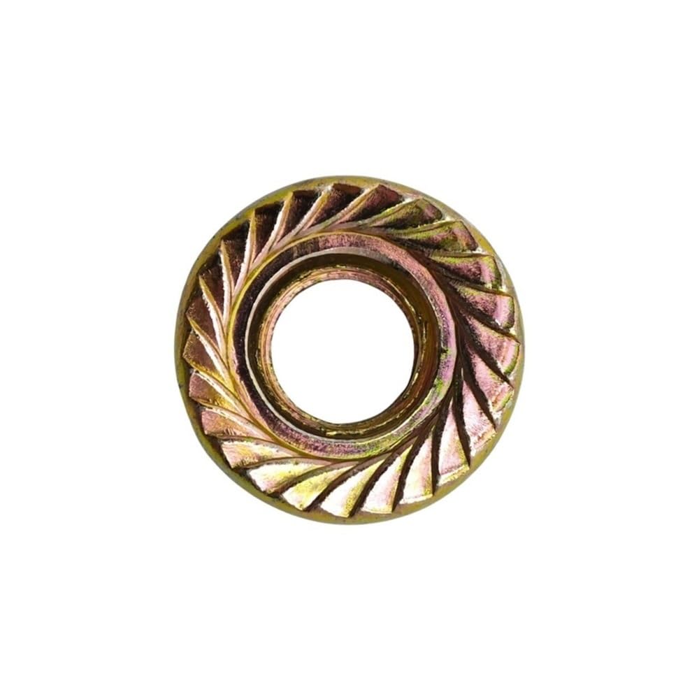 Dado flangiato for Barra M8 for Motosega Adatto for 51 61 66 268 351 357 395 460