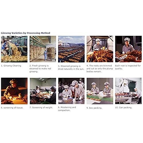 Tulgigs Korea Red Ginseng Gold Premium 6 Years Deep-Rooted Extract 240G #TOP5