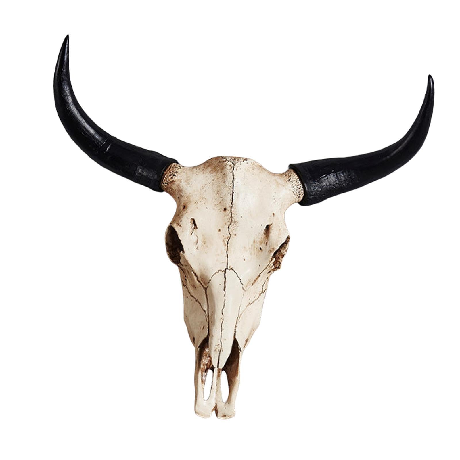 PIXZCSA Vintage Large Cow Skull Wall Sculpture Stunning Wall Mount Decor Unique And Artistic Home Displays Or Rustic Interiors Large Resin Sculptures Decorative Cow Skull