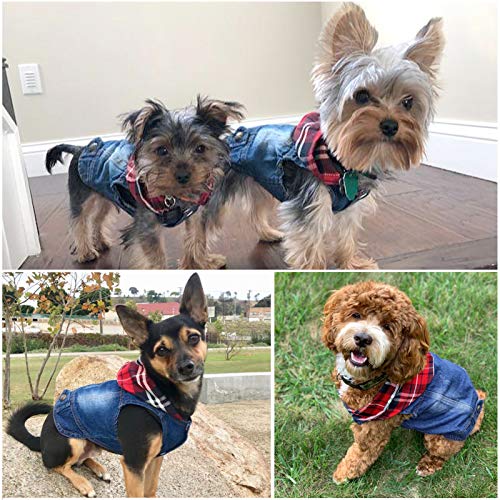 Dog Hoodie Dog Jeans Jacket Cool Denim Coat Classic Small Puppy Clothes French Bulldog Teddy Pug Small Dog Outfit #TOP6