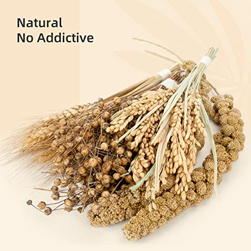Niteangel Natürliches und weiches Hamster-Einstreu - Dekoration für das Lebensumfeld von syrischen Zwerg-Hamstern, Gerbils, Mäusen, Degus (Ernteversion)