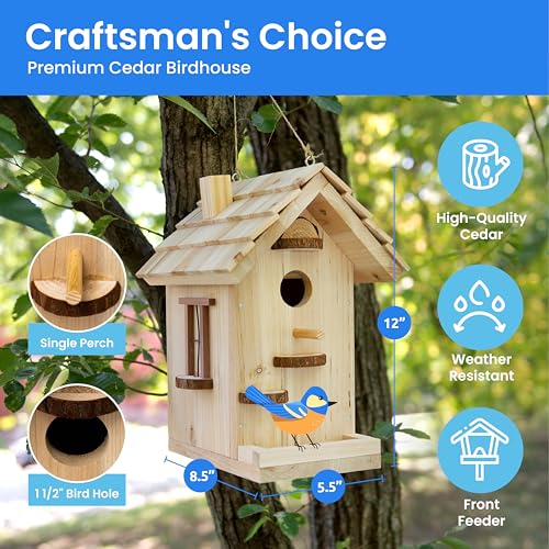 Premium Wooden Bird House KitsBirdhouse Kits For KidsSet Of 10 Birdhouse Kits For