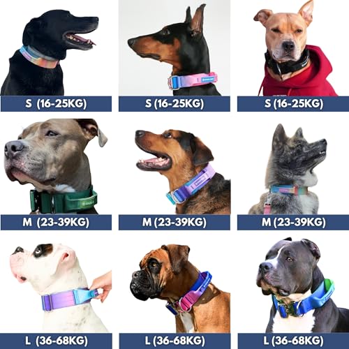 Spark Paws Taktisches Hundehalsband – Robuste, Premium-Qualität, Dick und Langlebig für Große und Mittelgroße Hunde - 90s Retro - - S: 16-25kg [5cm]