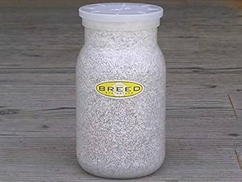 BREED　１１００菌糸ビン　４０本　Go様 Amazon | 大型・美形クワガタ飼育用 BREED菌糸ビン 1100ml 10本セット
