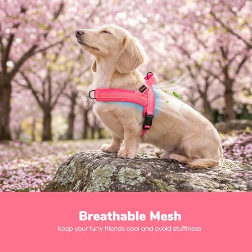 Image of Didog No Pull Dog Harness for Small Dogs, Breathable Mesh Padded, Pink, XS | Quick Fit, Easy On and Off, Lightweight, Reflective Vest Harness for Night Safty, Easy for Walking and Training, Chest 15-18 inch