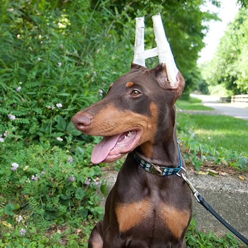Image of Dog Ear Posting Kit, Dog Ear Stand Up Support Tool Two Ways, Dog Ear Stick Foam Tape Dog Supplies Dog Ear Fixed Correction Vertical Holder for Doberman Pinscher Dog Samoyed Corgi