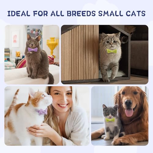 Cat Collar 2-Pack $4.99 with Code XJY9I568 - Image 6