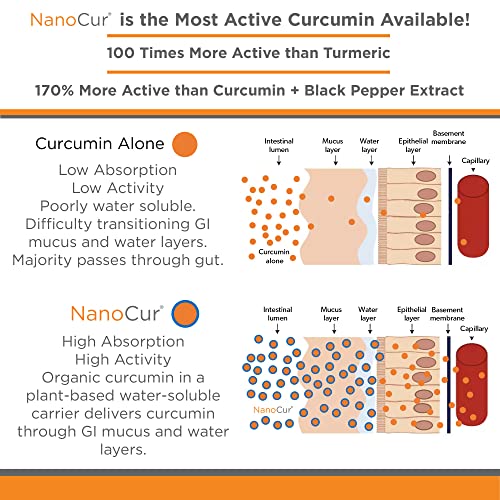 Nanocur High-Activity Organic Turmeric Curcumin Supplement #TOP28