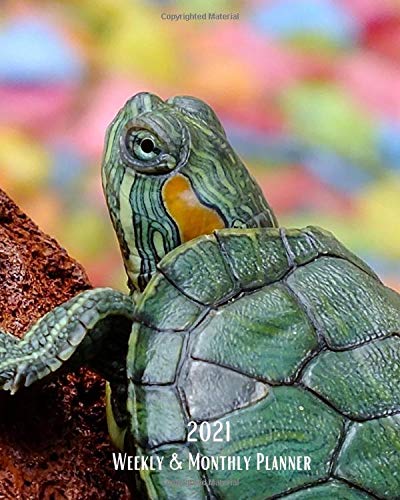 2021 Weekly and Monthly Planner: Little Turtle - Monthly Calendar with U.S./UK/ Canadian/Christian/Jewish/Muslim Holidays– Calendar in Review/Notes 8 x 10 in.-Nature Animals For Work Business School