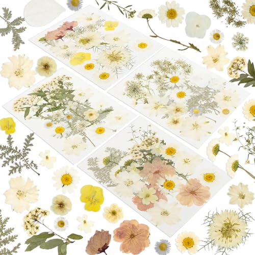Image of 186 Pcs Dried Pressed Flowers for Resin Crafts, Real Natural Pressed Flowers and Leaves Kit Butterfly Stickers Vacuum Sealed Dry Flowers for DIY Epoxy Resin Jewelry Molds, Candle Soap Making, Nail Art