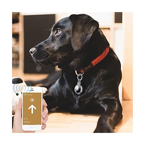 COOLQO-4-Pack-Waterproof-Air-Tag-Keychain-Holder-Case-Compatible-with-Apple-AirTag-Case-for-Dog-cat-Collar-Tracker-Key-Ring-360-Full-Body-Coverage-Hard-2in1-Shockproof-Locator-Protective-Cover-Clear 4 Pack Waterproof Air Tag Case for Dog