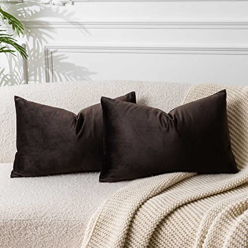 Image of JUSPURBET Couch Pillow Covers Set of 2 Decorative Velvet Throw Pillow Covers Cases for Living Room Bedroom Home Decor Soft Lumbar Cushion Covers with Hidden Zipper for Sofa Bed,Coffee,14x24 inch
