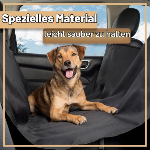 Retoo Hundedecke Auto Rückbank, 130 x 135 cm, mit Gurtöffnungen, waschbar
