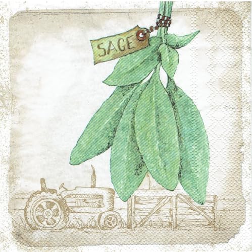 Set of 2 Individual Decoupage Paper Party Napkin Sage Herb Plant Farm Watercolor Decor Luncheon Napkins for a Birthday Holiday, Wedding, Cocktail Party