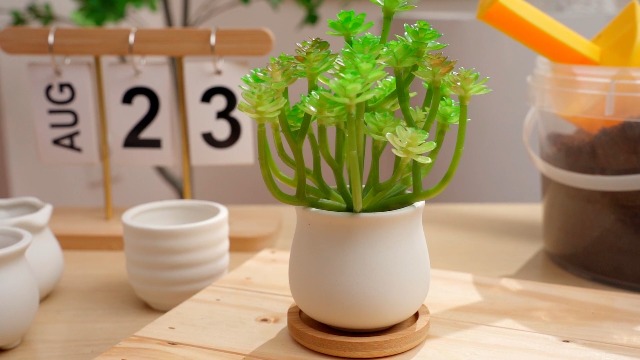 Amazon.com: Remerry 12 Pcs 2.5 Inch Mini Succulent Pots with