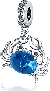 HONGRUI 925 Sterling Silver Charm for Women Bracelets and Necklace Fashion Bead Charms Clearance for Mother Daughter Sisters Friends Jewelry Gift
