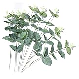 🌿【QUALITÄTSDIENST】100% Zufriedenheitsgarantie, HANGNUO verpflichtet sich, jedem kunden einen umfassenden service zu bieten. Wenn sie auf irgendwas problem mit diesen künstliche pflanzen eukalyptus blätter, können sie irgendwann mit uns im kontakt aufnehmen. Wir bieten Ihnen eine zufriedenstellende lösung.