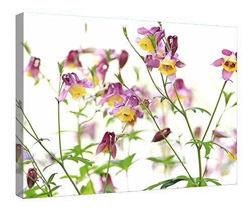 Impression sur toile fleurs de printemps avec encadrement premium en bois massif