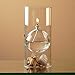 Firefly Fuels Refillable Glass Oil Candle - Transcend 6.5” Hurricane-Style Indoor/Outdoor Lantern. Clean Candle for Dining, Events, and Emergency Lighting. Use with Liquid Paraffin or Lamp Oil