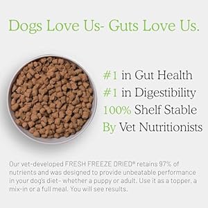 Intestine Well Being Recent Freeze Dried Uncooked Meal Beef Recipe 16 Ounce Bag Canine Meals for Canine of All Breeds and Life Phases Usda Beef Made in Usa  Cucciolini Doodles Intestine well being recent freeze dried uncooked meal beef recipe 16 ounce bag canine meals for canine of all breeds and life phases usda beef made in usa   cucciolini doodles