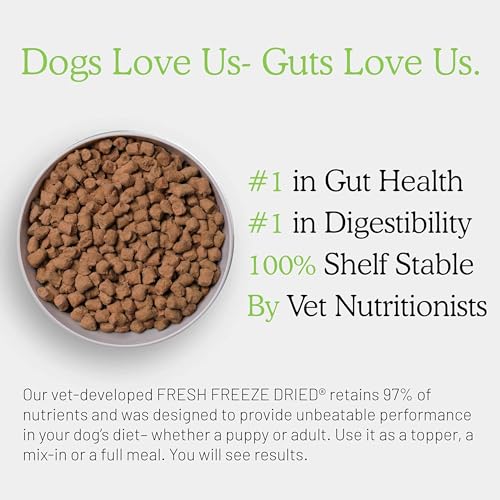 Intestine Well Being Recent Freeze Dried Uncooked Meal Beef Recipe 16 Ounce Bag Canine Meals for Canine of All Breeds and Life Phases Usda Beef Made in Usa  Cucciolini Doodles Intestine well being recent freeze dried uncooked meal beef recipe 16 ounce bag canine meals for canine of all breeds and life phases usda beef made in usa   cucciolini doodles