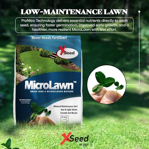 Mini Clover Lawn Seed Blends For Soil Improvement