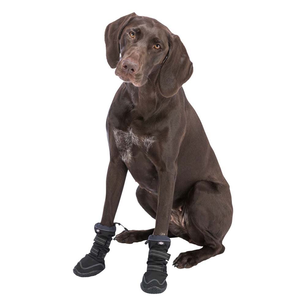 Deambulatore di protezione per gambe attivo, L–XL, nero
