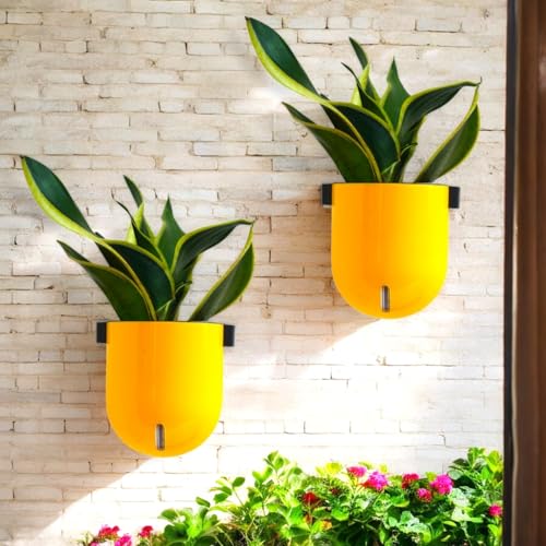 Image of Indian Discovery Self Watering Wall Hanging Planter|Hanging /Hooked Flower Pots for Home, Balcony, Vertical Garden Decor Flower Pots(6 PC, Multi-Color, Sphere)|6 Inch UV-Resistant Plastic Plant Pots