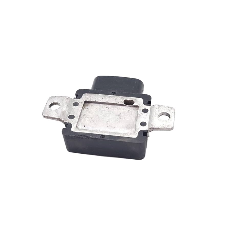 ヒトヤン Amazon.com: 2PCS 131300-2240 T44082110 Gnition Coil