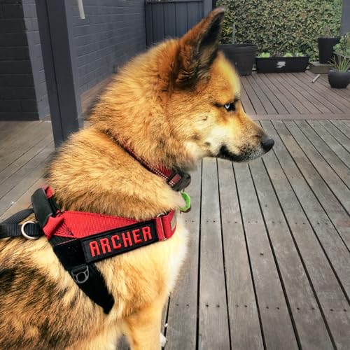 Personalisiertes Klett-Patch mit Wunschlogo für Hundegeschirr – K9 Klettsticker – für Dienst- und Sicherheitshunde (MittelHunde)