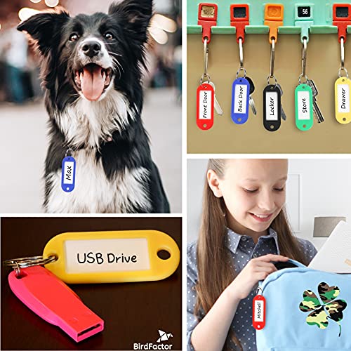 50 Stück Schlüsselanhänger beschriftbar mit Etiketten – 5 Farben, Kunststoffbox mit extra Etiketten, Schlüssel Anhänger und Schlüsselschilder mit Ring auch für Haustiere, Gepäckstücke oder USB Sticks