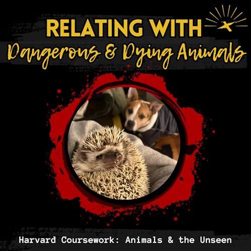 Page de couverture de Relating with Dangerous & Dying Animals: Bonus Episode