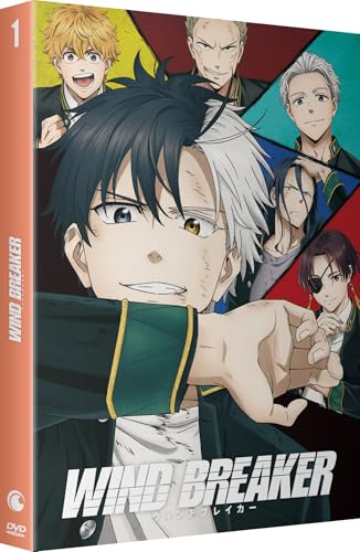 WIND BREAKER - SAISON 1 - 2 DVD