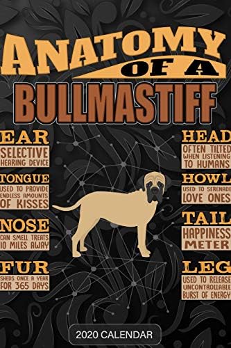 Anatomy Of A Bullmastiff: Bullmastiff 2020 Calendar - Customized Gift For Bullmastiff Dog Owner Paperback – 23 Dec. 2019