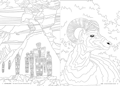 The National Parks: A Coloring Book - Image 6