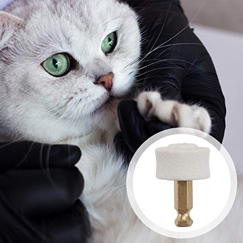 Balacoo 10Pcs Pet Prego Grinder Substituição Cabeça Garra Cat Dog Cat Dog Prego Moedor De Ponta Subs