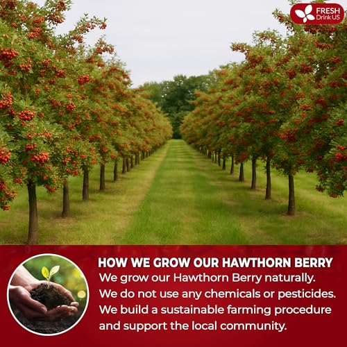 Image of FreshDrinkUS, 16oz Premium Dried Hawthorn Berries - All-Natural, Non-GMO, Perfect for Tea, Smoothies, Baking & Snacking - Healthy, Versatile Superfood