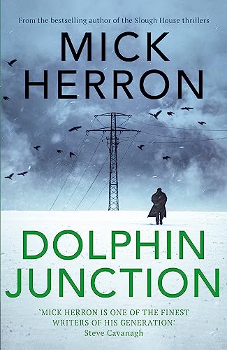 Dolphin Junction 1529371279 Book Cover