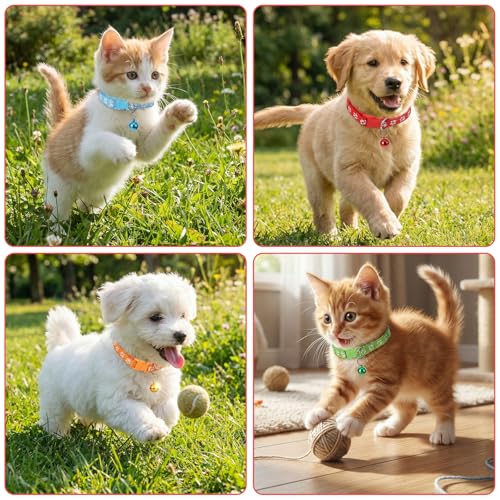 Pack 12 Collares Pequeños para Cachorros Ajustables 18-30cm miniatura 4