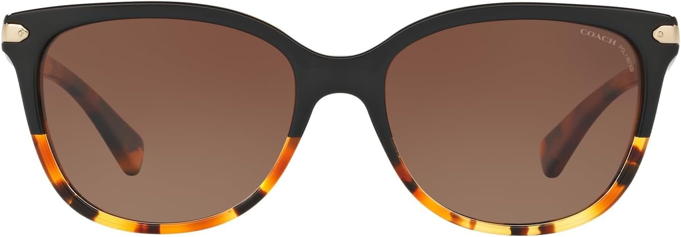 womens Hc8132 Cat Eye Sunglasses
