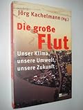 Die große Flut : Unser Klima, unsere Umwelt, unsere Zukunft - Jörg (Hg.) Kachelmann 