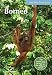 Blue Skies Guide to Borneo (Blue Skies Travel Guides)